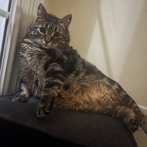 Fundraising Page: Kimberly Johnson